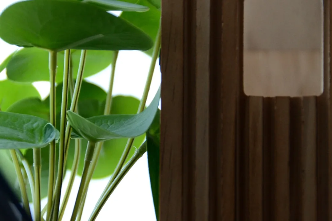 Calm, supportive environment