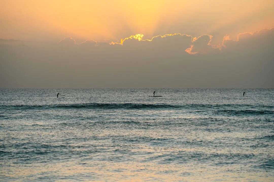 Calm lifestyle and wellbeing environment